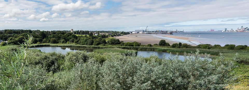Friends of Port Sunlight River Park